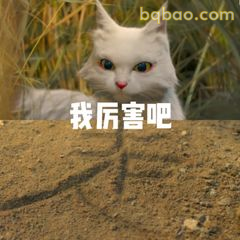 我厉害吧（白猫傲娇）