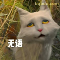 无语猫脸表情包