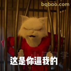 这是你逼我的