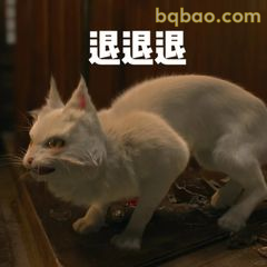 退退退！白猫怒吼