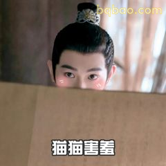 猫猫害羞偷看