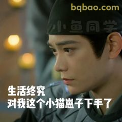 生活终究对我小猫崽子下手了