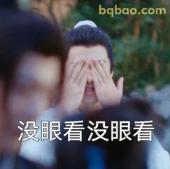 没眼看没眼看