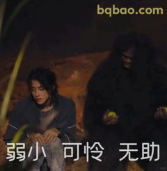 弱小可怜无助