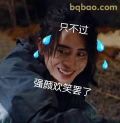 强颜欢笑罢了