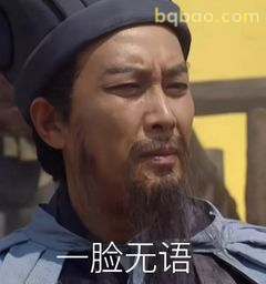 一脸无语诸葛亮