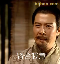 贤合我意 刘备微笑点头