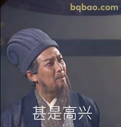 诸葛亮甚是高兴