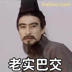 老实巴交诸葛亮