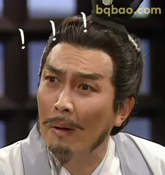 诸葛亮震惊疑问脸