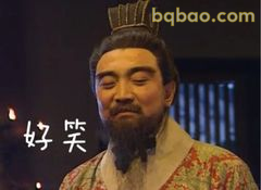 好笑·诸葛亮眯眼笑