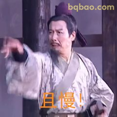 且慢！诸葛亮急拦