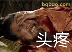 头疼捂脸经典表情