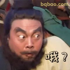 张飞咦？一脸懵