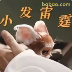 小发雷霆