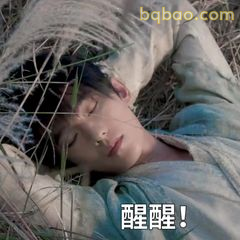 醒醒！躺草地上装睡