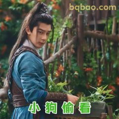 小狗偷看·眼神警惕