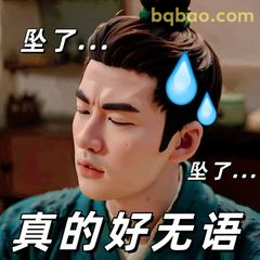 坠了…真的好无语