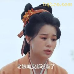 老娘嘴皮都说破了