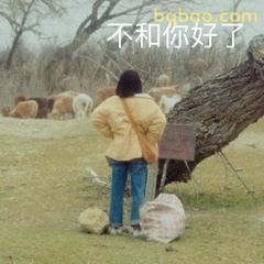 不和你好了！