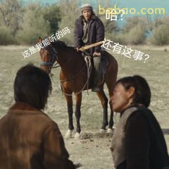 马伊琍骑马一脸懵：还有这事？