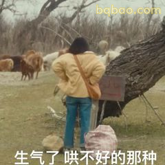 生气了哄不好的那种