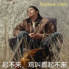 起不来，鸡叫都起不来