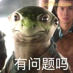 有问题吗？龟丞相灵魂拷问
