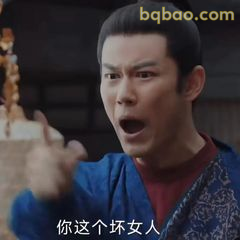 你这个坏女人！