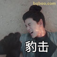豹击！这招太狠了