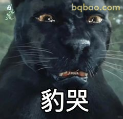 豹哭表情包