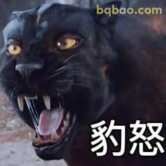 黑豹怒吼豹怒