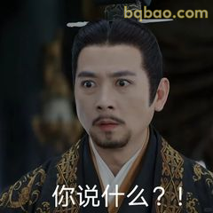 你说什么？！