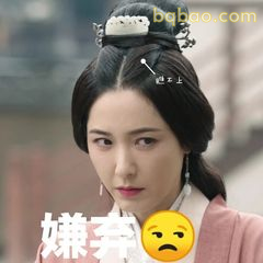 嫌弃脸·程少商