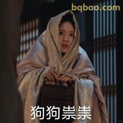 狗狗祟祟偷看表情包