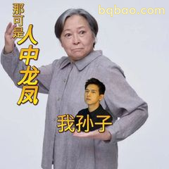 人中龙凤我孙子