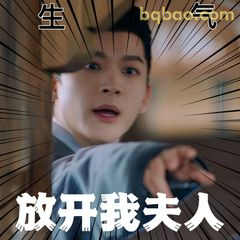 放开我夫人！