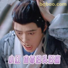 小红本尊头疼欲裂
