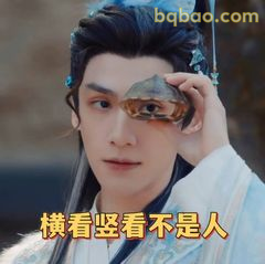 横看竖看不是人