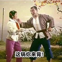 这锅你来背！
