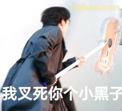 我叉死你个小黑子