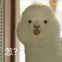 羊驼歪头问号？