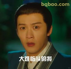 大难临头的我
