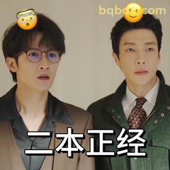 二本正经表情包