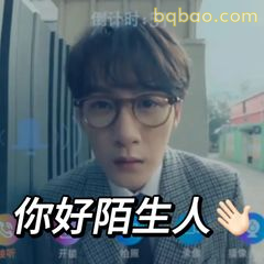 你好陌生人 手势版