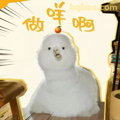 做咩啊？小鸡震惊脸