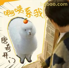 啊咦系我唐奇开门