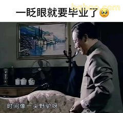 时间像一头野驴呀