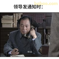 领导发通知时：明白