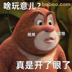 熊大震惊：啥玩意儿？